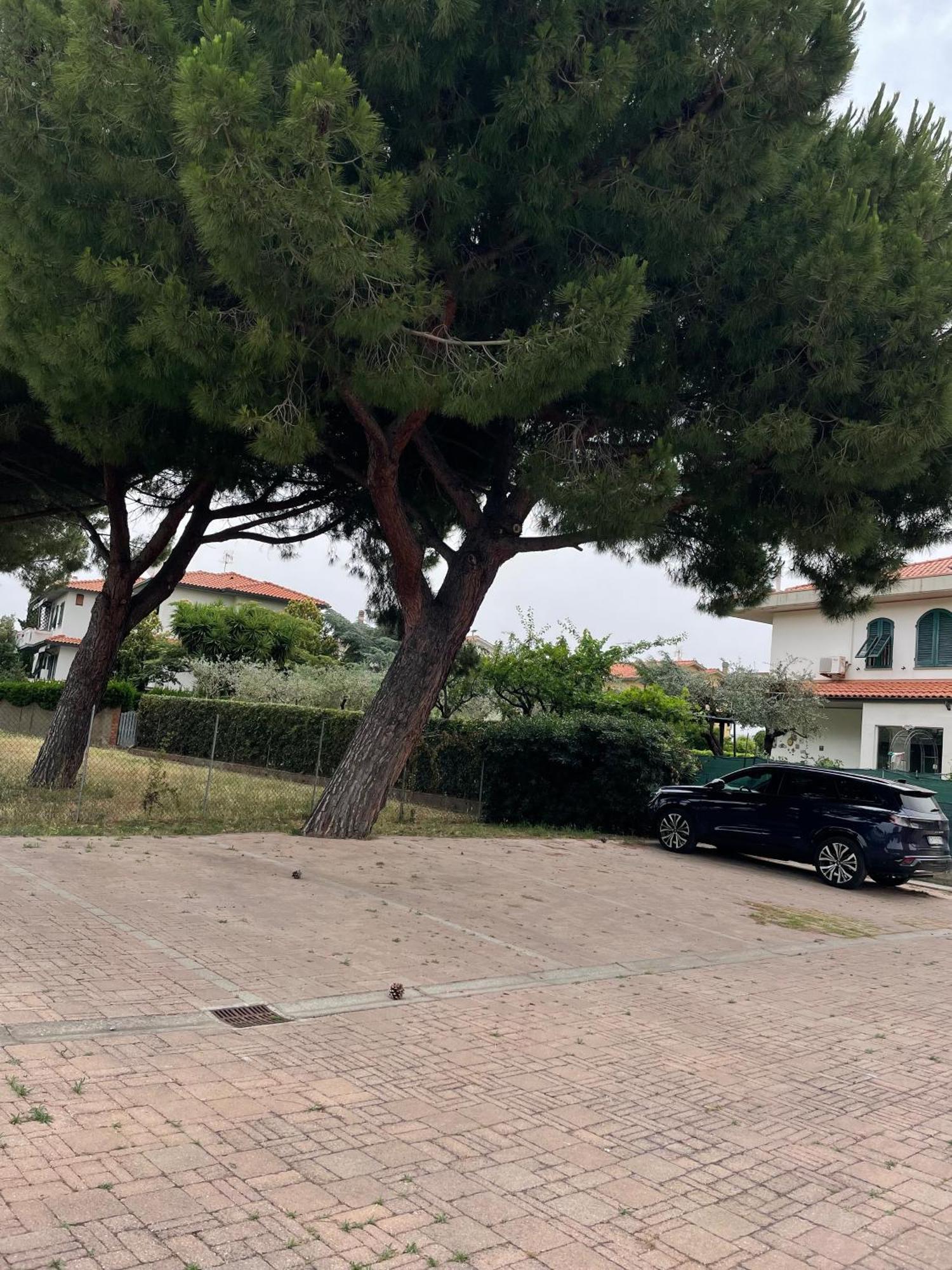 Casa Vacanze Le Due Torri Vada Exteriör bild